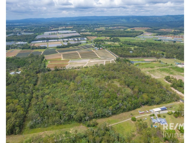 320 Newlands Road, Wamuran QLD 4512