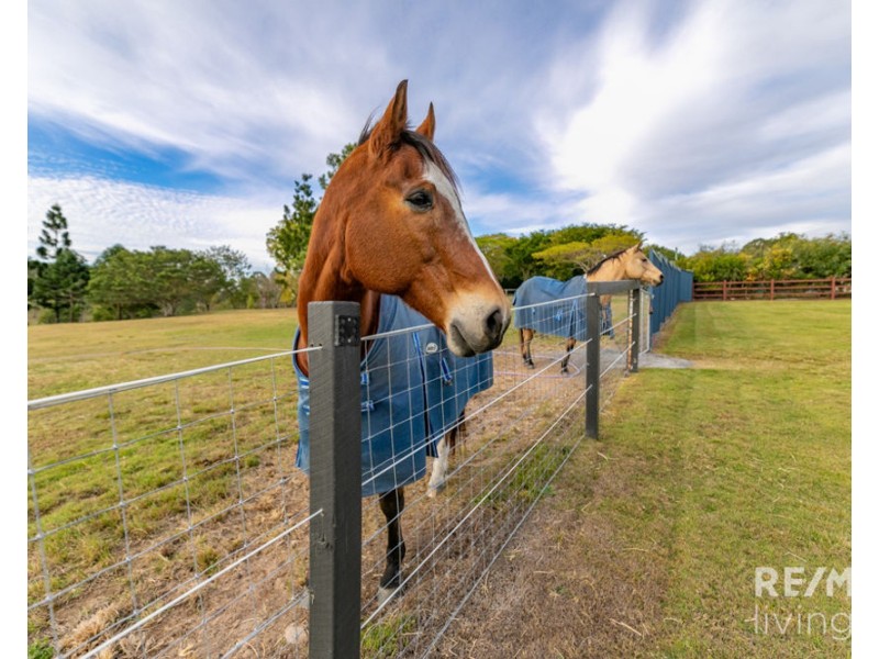 22 Shapland Drive, Royston QLD 4515