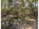 427 Glenhowden Road, Harlin QLD 4306