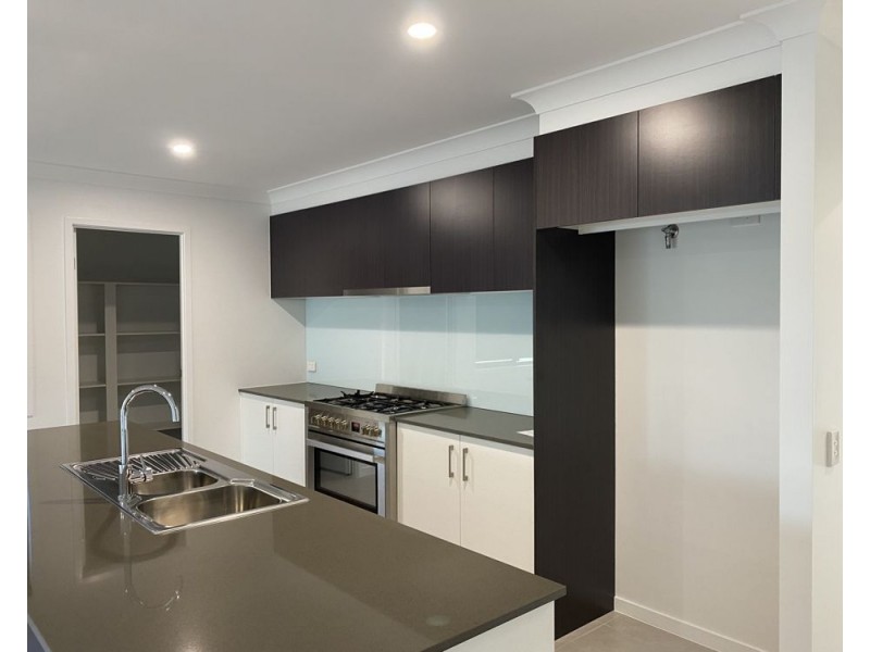16 Raintree Street, Delaneys Creek QLD 4514