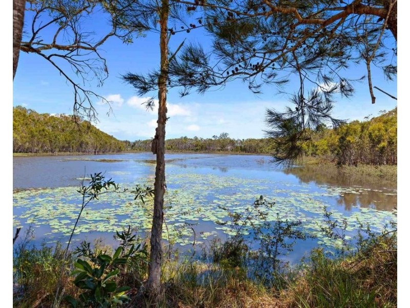 107 Foxglove Street, Caboolture QLD 4510