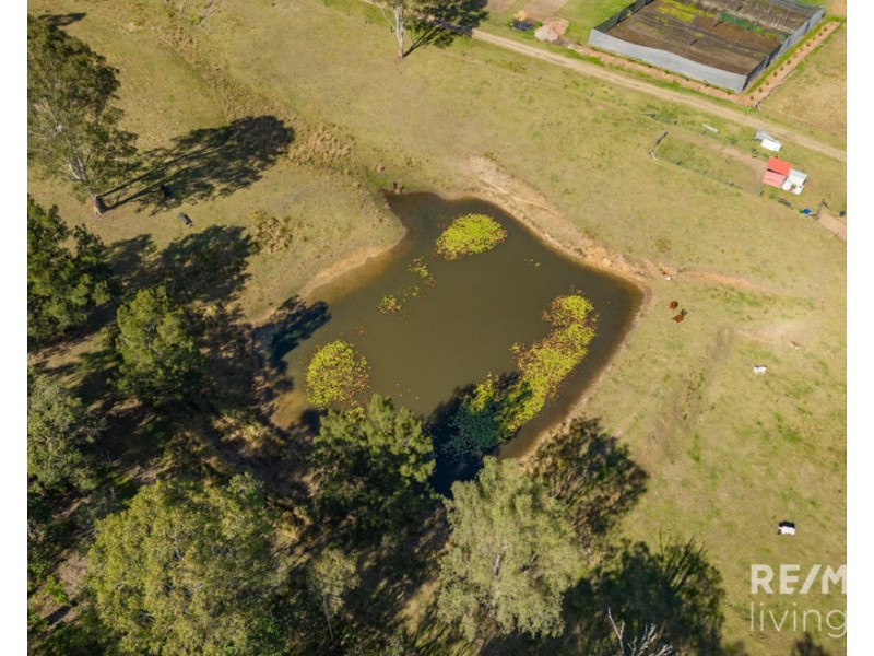 1130 Sandy Creek Road, Sandy Creek QLD 4515