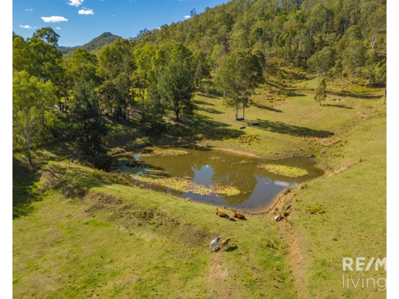 1130 Sandy Creek Road, Sandy Creek QLD 4515