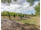 1 McConnell Road, Wamuran QLD 4512
