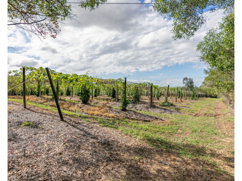 1 McConnell Road, Wamuran QLD 4512