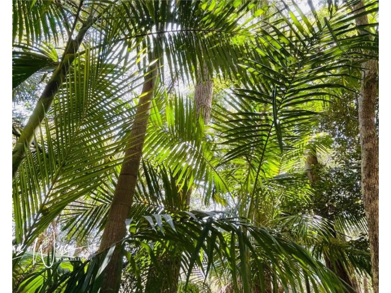 7 Fletcher Road, Stony Creek QLD 4514