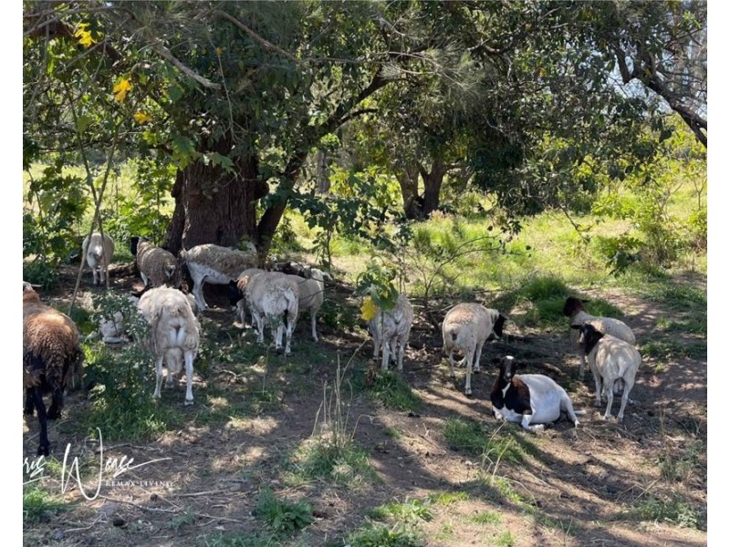 7 Fletcher Road, Stony Creek QLD 4514