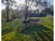 768 Old Esk North Road, South East Nanango QLD 4615
