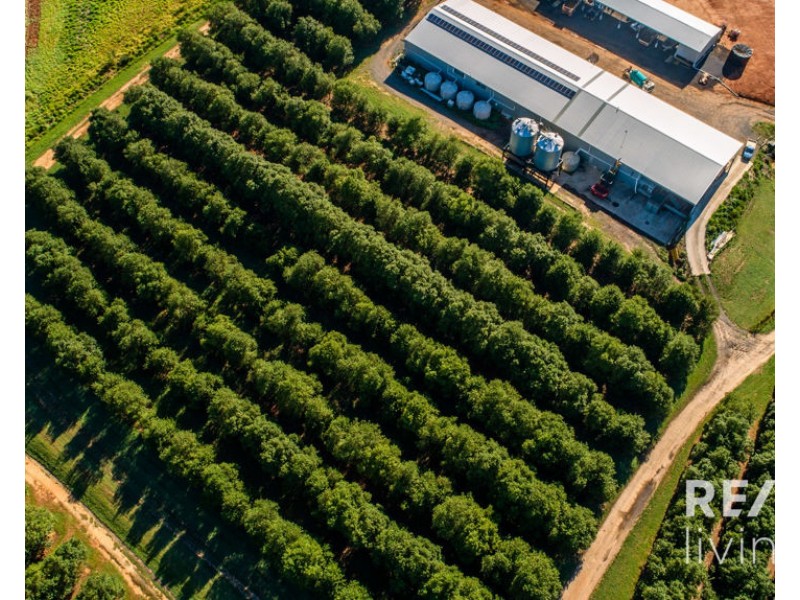 95 Collies Road, Beerwah QLD 4519