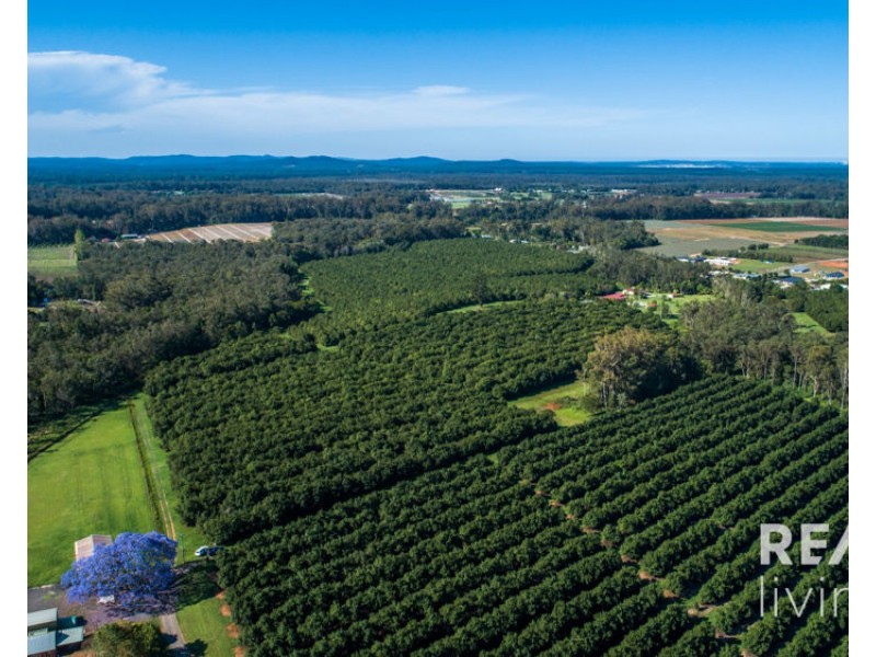 95 Collies Road, Beerwah QLD 4519