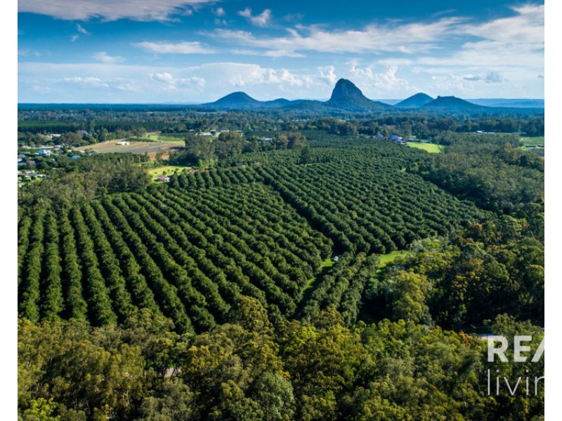 95 Collies Road, Beerwah QLD 4519
