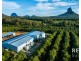 95 Collies Road, Beerwah QLD 4519