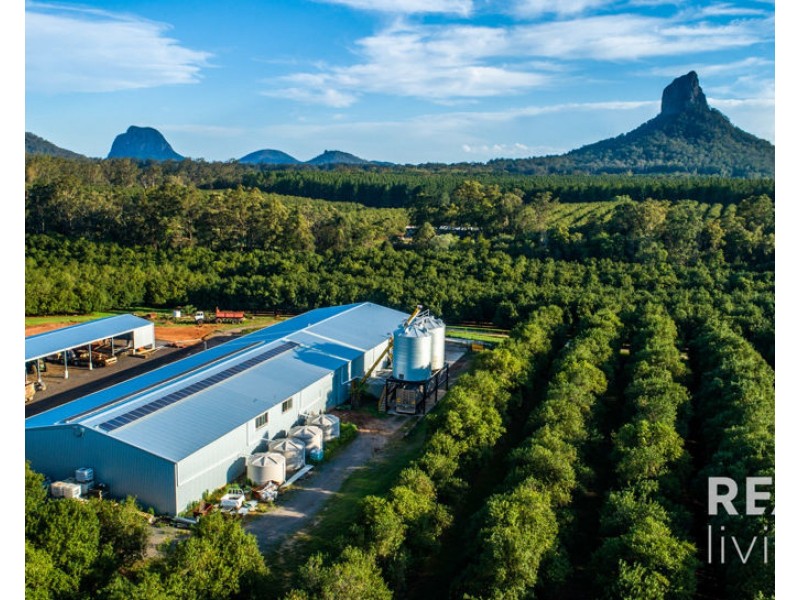 95 Collies Road, Beerwah QLD 4519