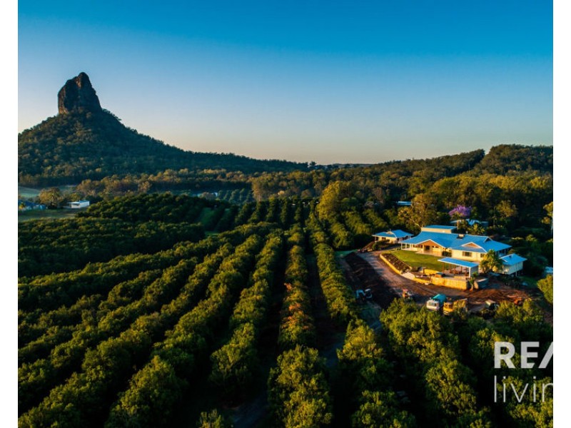 95 Collies Road, Beerwah QLD 4519