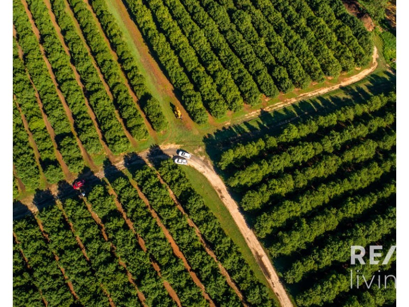 95 Collies Road, Beerwah QLD 4519