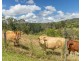 95 Basin Road, Wamuran QLD 4512
