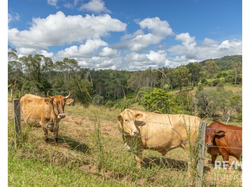 95 Basin Road, Wamuran QLD 4512