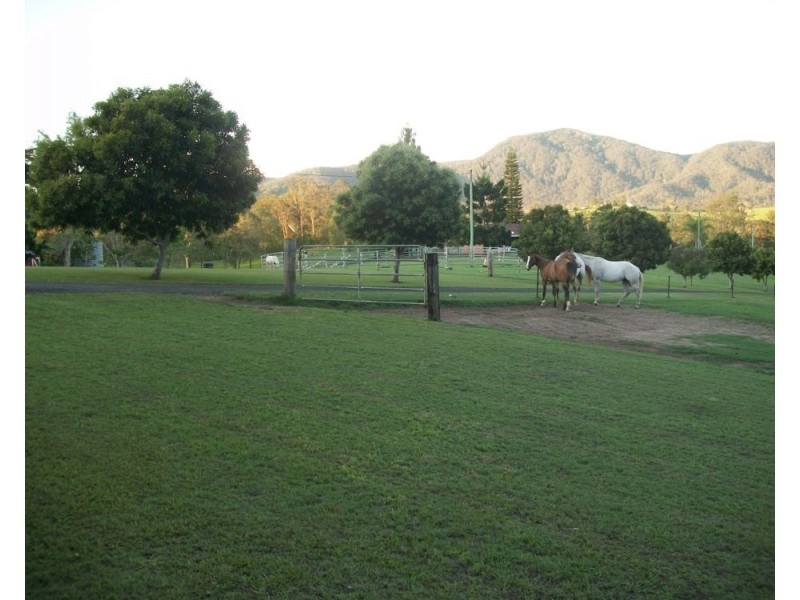 1587 Maleny-Kenilworth Road, Conondale QLD 4552