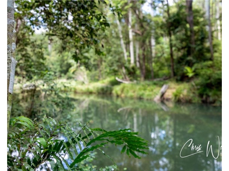 299 Fletcher Road, Stony Creek QLD 4514