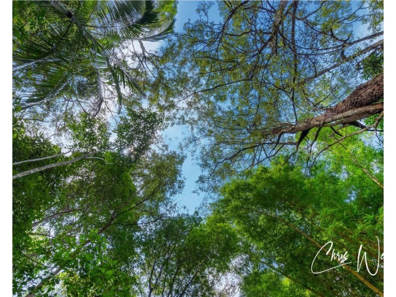 299 Fletcher Road, Stony Creek QLD 4514