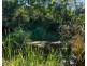 82 Sunrise Drive, Ocean View QLD 4521