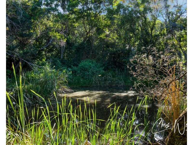82 Sunrise Drive, Ocean View QLD 4521