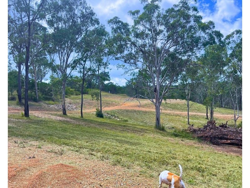Lot 7 Emerson Road, Taromeo QLD 4306