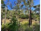 121 Bloodwood Court, Wamuran QLD 4512