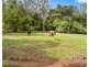 180 Fletcher Road, Stony Creek QLD 4514