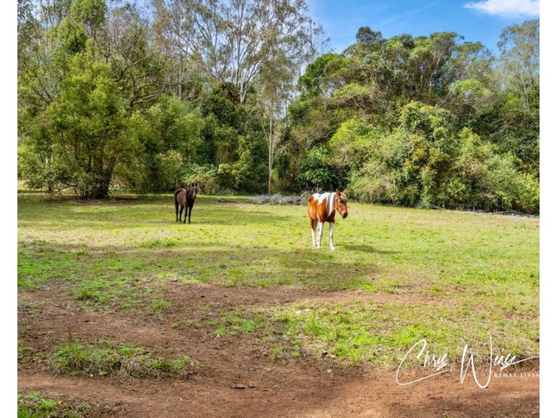 180 Fletcher Road, Stony Creek QLD 4514