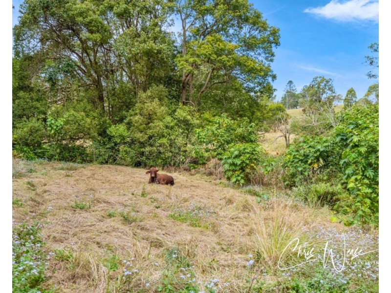 180 Fletcher Road, Stony Creek QLD 4514