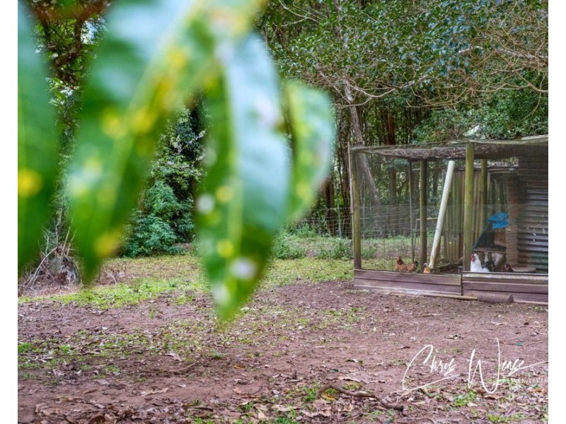 180 Fletcher Road, Stony Creek QLD 4514