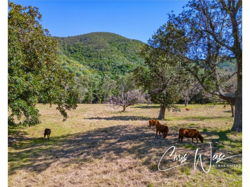194-244 Rasmussen Road, Neurum QLD 4514