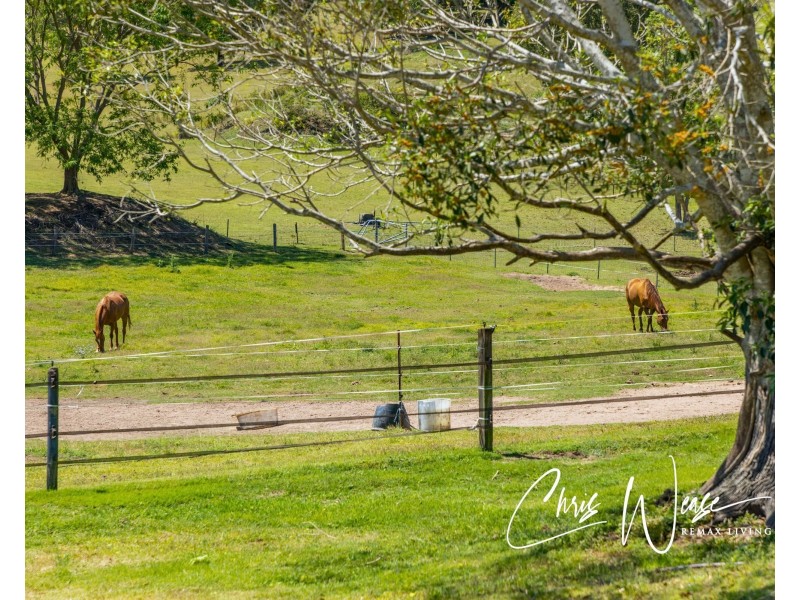 39 Jayen Drive, Royston QLD 4515