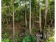 530 Nonmus Road, Stanmore QLD 4514