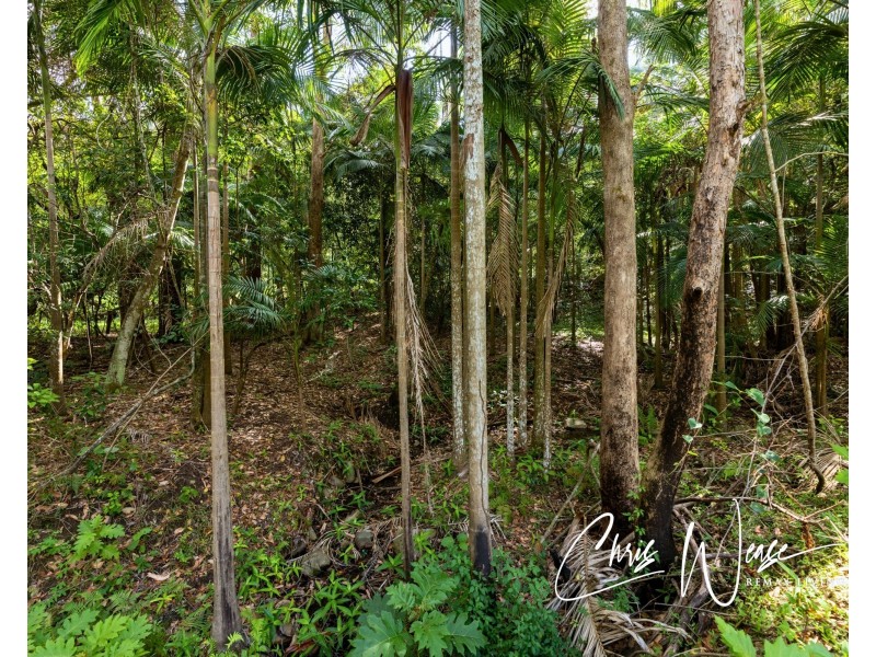 530 Nonmus Road, Stanmore QLD 4514