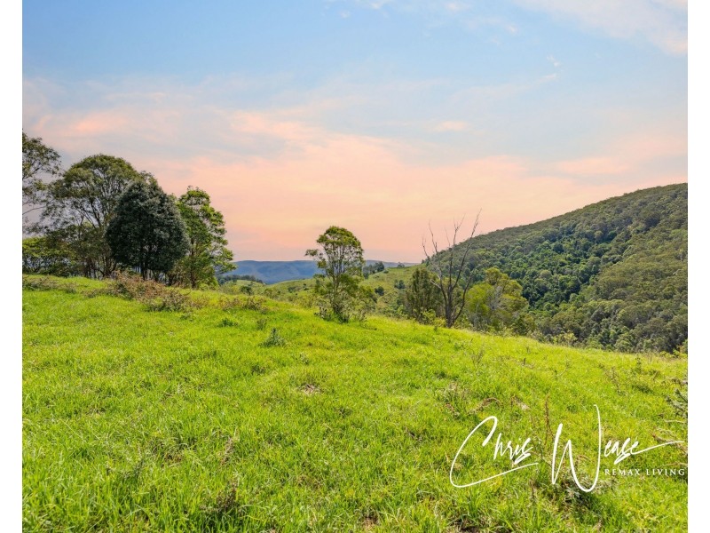 Lot 510 Newman Lane, Delaneys Creek QLD 4514
