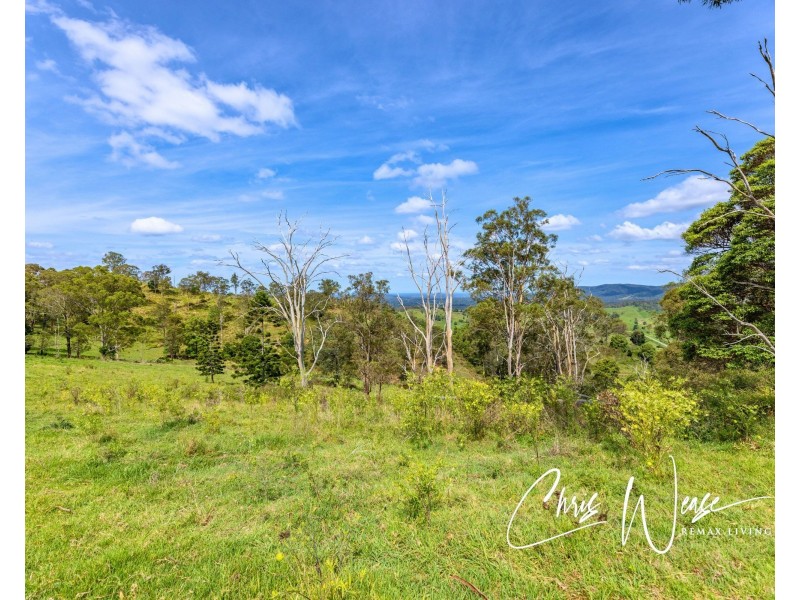 Lot 510 Newman Lane, Delaneys Creek QLD 4514