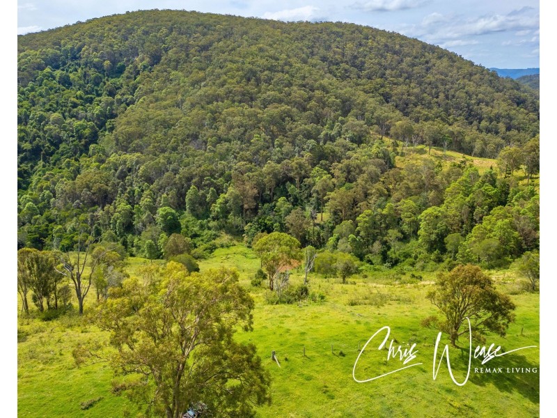 Lot 510 Newman Lane, Delaneys Creek QLD 4514