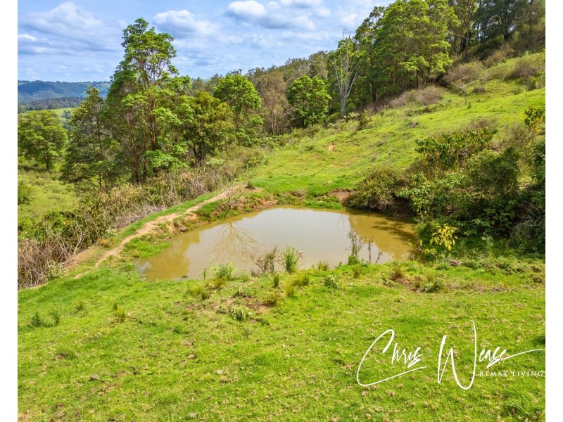 Lot 510 Newman Lane, Delaneys Creek QLD 4514