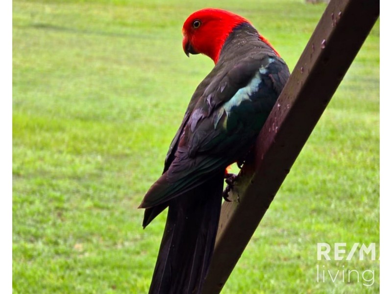 94 Hardgrave Road, Benarkin North QLD 4306