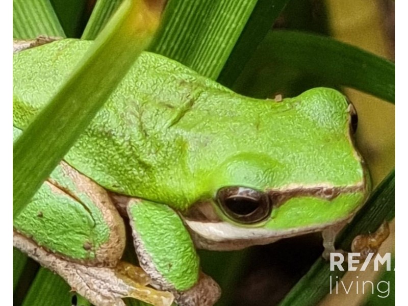 94 Hardgrave Road, Benarkin North QLD 4306