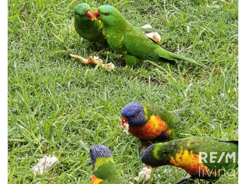 94 Hardgrave Road, Benarkin North QLD 4306