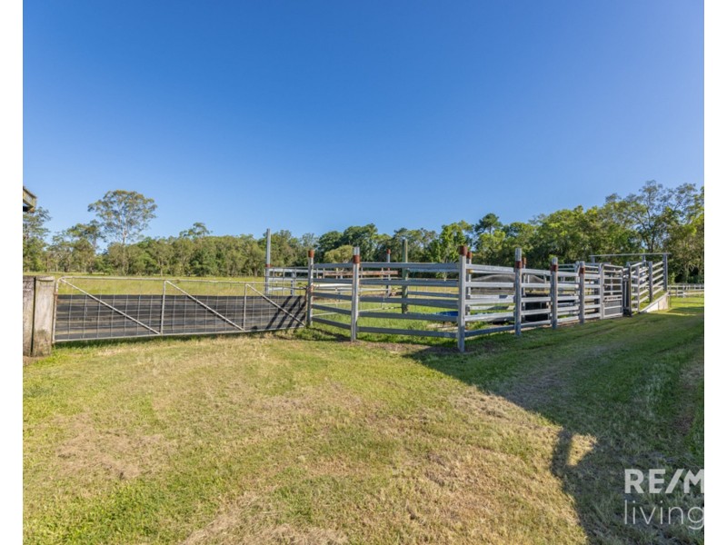 105 Twin View Road, Elimbah QLD 4516