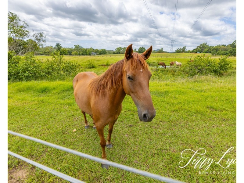 85-101 F Lindsay Road, Rocksberg QLD 4510