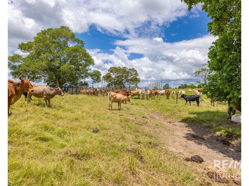 20 Maroske Road, Royston QLD 4515