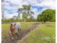 113-119 Logrunner Drive, Upper Caboolture QLD 4510