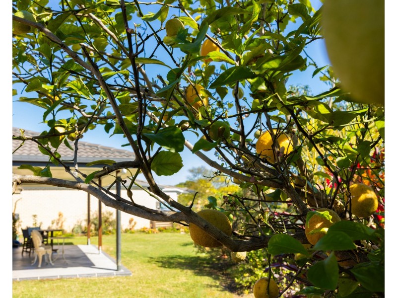 34 Grainger Circuit, Burpengary QLD 4505