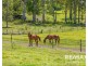 39 Jayen Drive, Royston QLD 4515