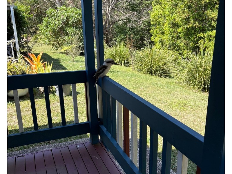 166/764 Morayfield Road, Burpengary Pines Village, Burpengary QLD 4505